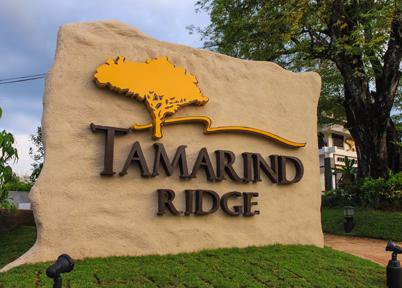 Tamarind Ridge